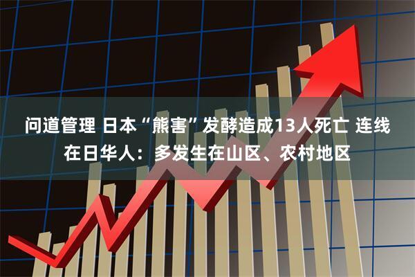 问道管理 日本“熊害”发酵造成13人死亡 连线在日华人：多发生在山区、农村地区