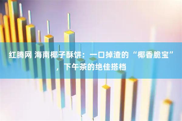 红腾网 海南椰子酥饼：一口掉渣的 “椰香脆宝”，下午茶的绝佳搭档