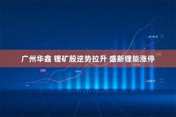 广州华鑫 锂矿股逆势拉升 盛新锂能涨停