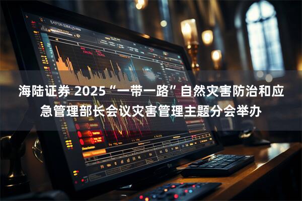 海陆证券 2025“一带一路”自然灾害防治和应急管理部长会议灾害管理主题分会举办