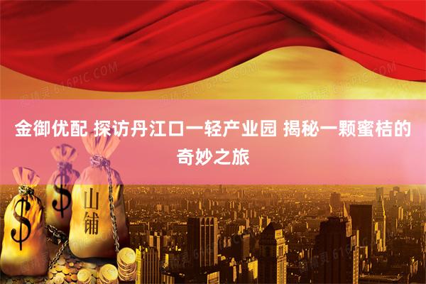 金御优配 探访丹江口一轻产业园 揭秘一颗蜜桔的奇妙之旅