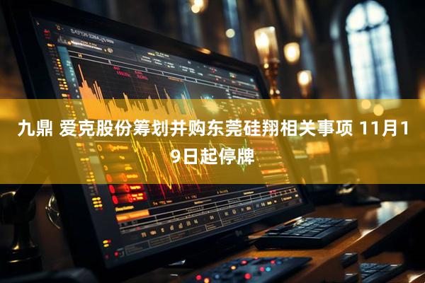 九鼎 爱克股份筹划并购东莞硅翔相关事项 11月19日起停牌