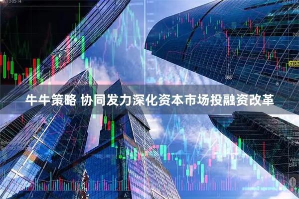 牛牛策略 协同发力深化资本市场投融资改革