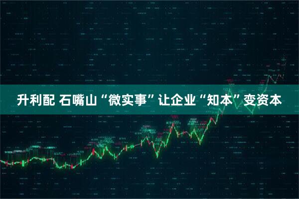 升利配 石嘴山“微实事”让企业“知本”变资本