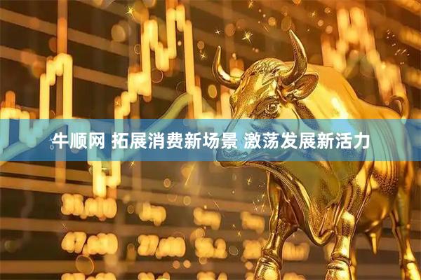 牛顺网 拓展消费新场景 激荡发展新活力