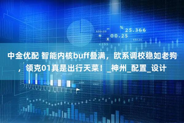 中金优配 智能内核buff叠满，欧系调校稳如老狗，领克01真是出行天菜！_神州_配置_设计