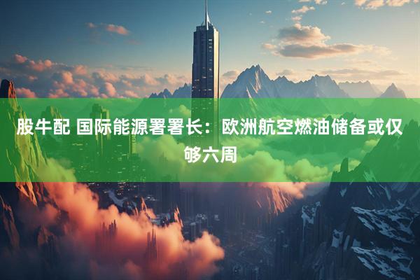 股牛配 国际能源署署长：欧洲航空燃油储备或仅够六周